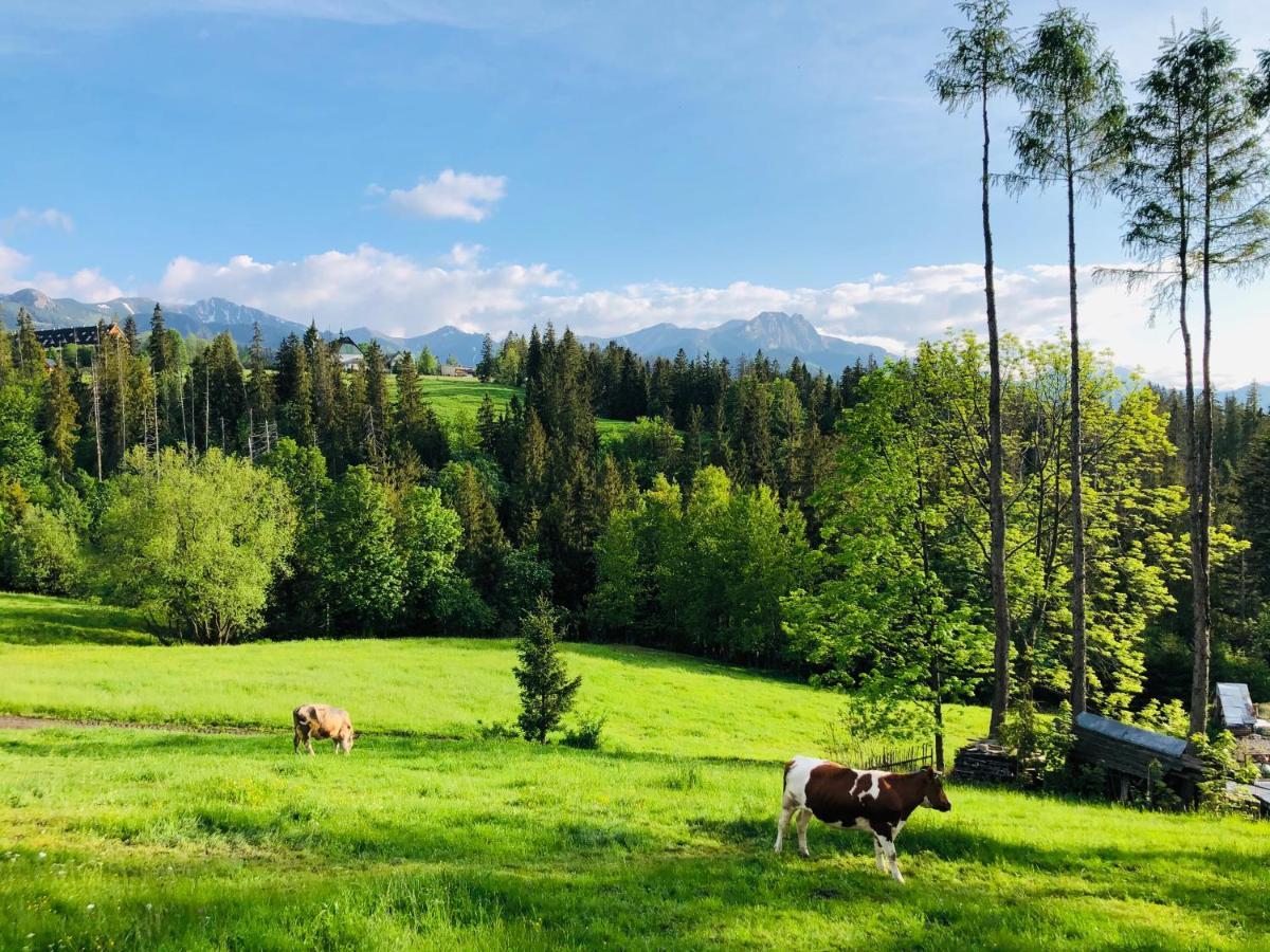 Tatrzanska Polana 5F Lägenhet Zakopane Exteriör bild